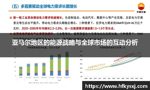 哈哈体育亚马尔地区的能源战略与全球市场的互动分析